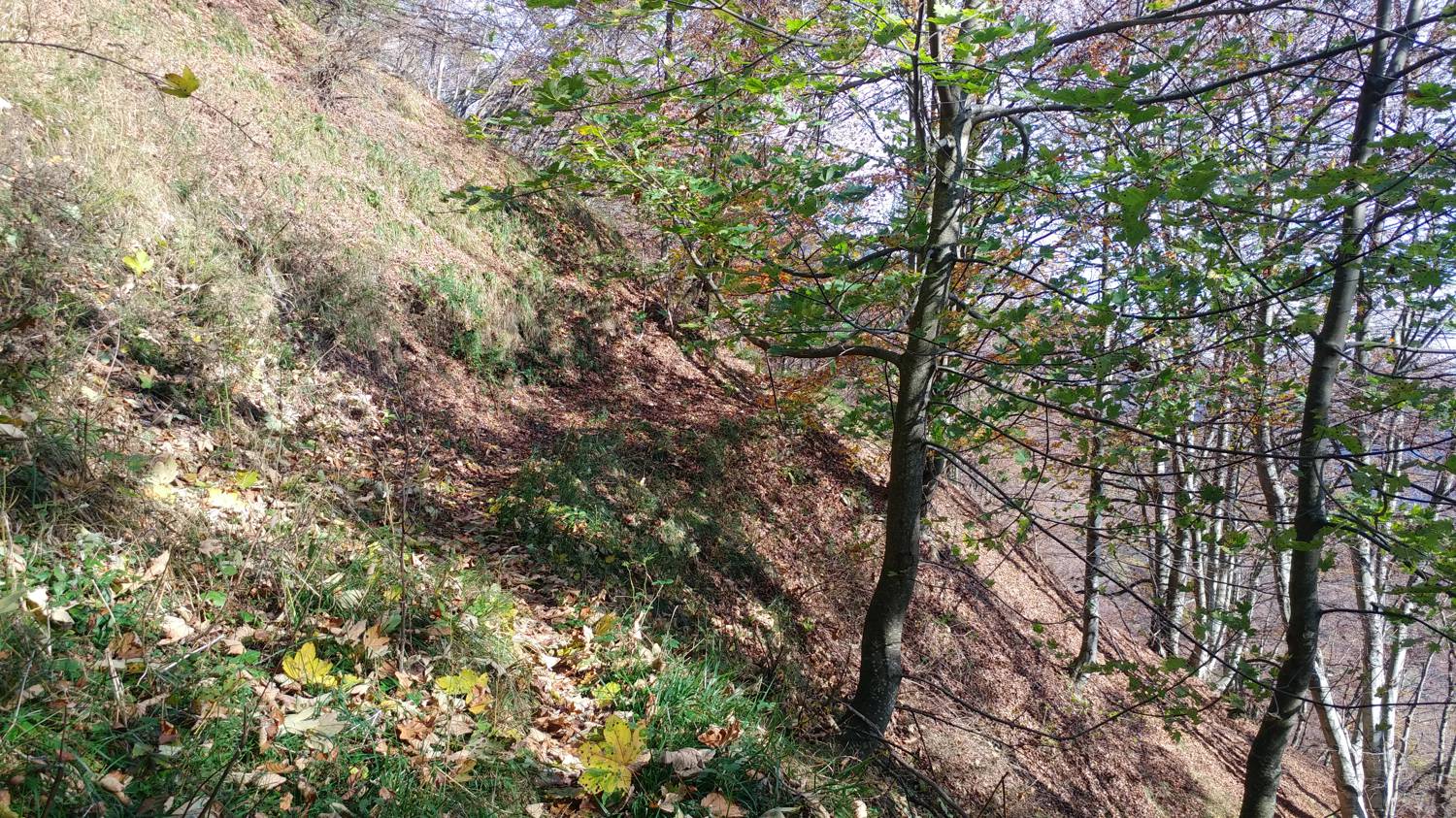 Čadrg - Grušnica (Mohor) slika 30