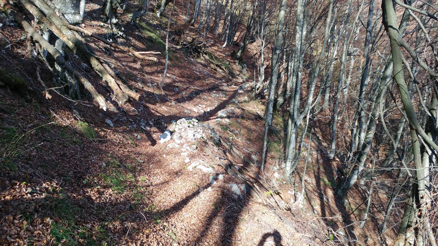 Čadrg - Grušnica (Mohor) slika 29