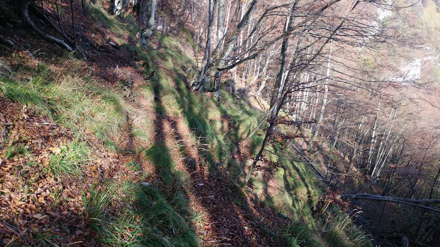 Čadrg - Grušnica (Mohor) slika 28