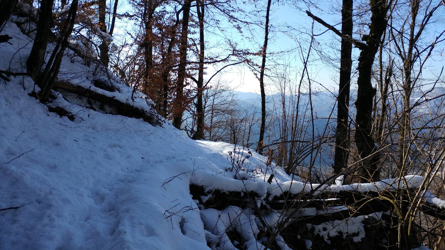 Parkirišče nad Žabčami - Meja slika 13
