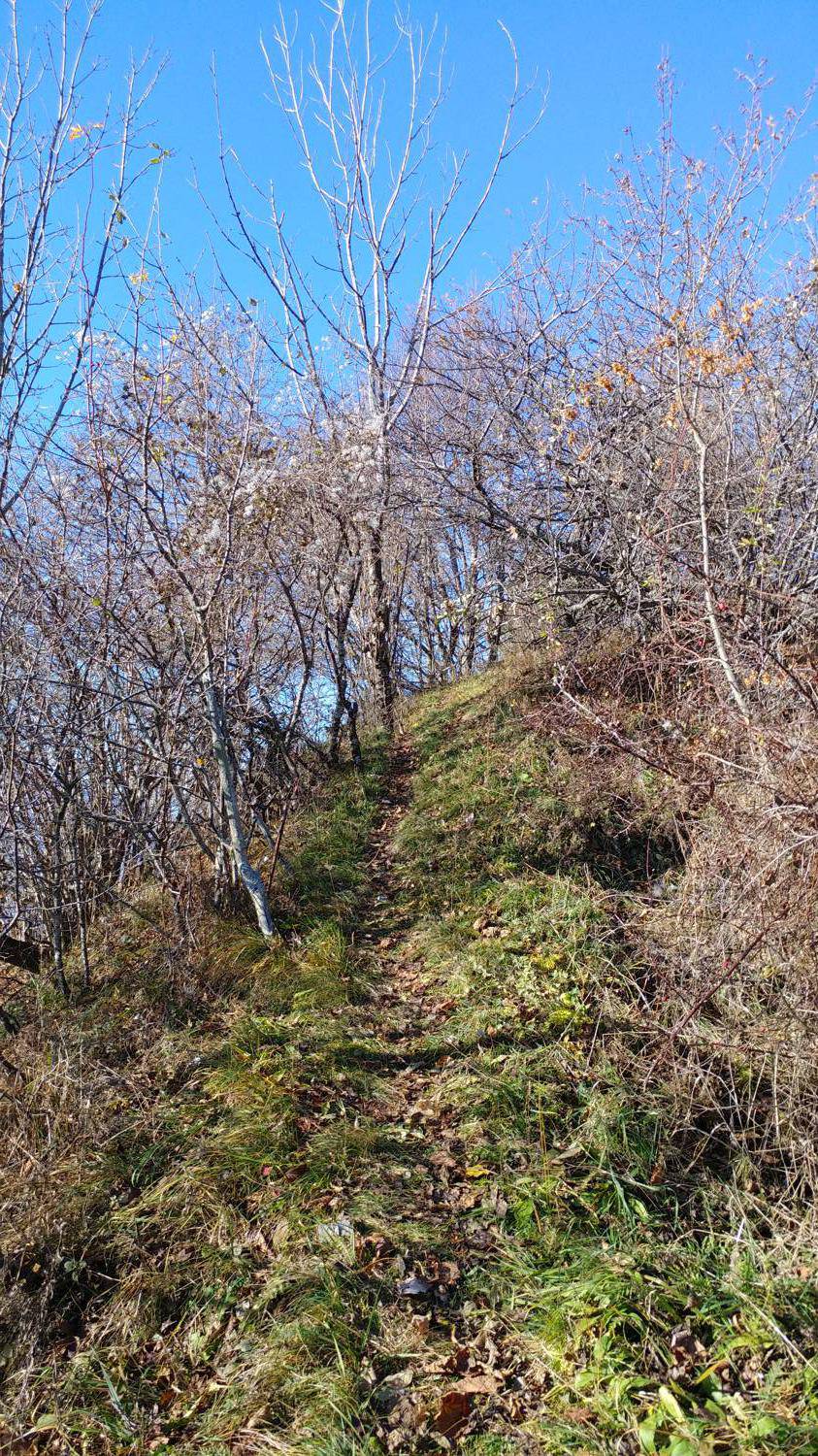 Dolje - Mrzli vrh slika 32