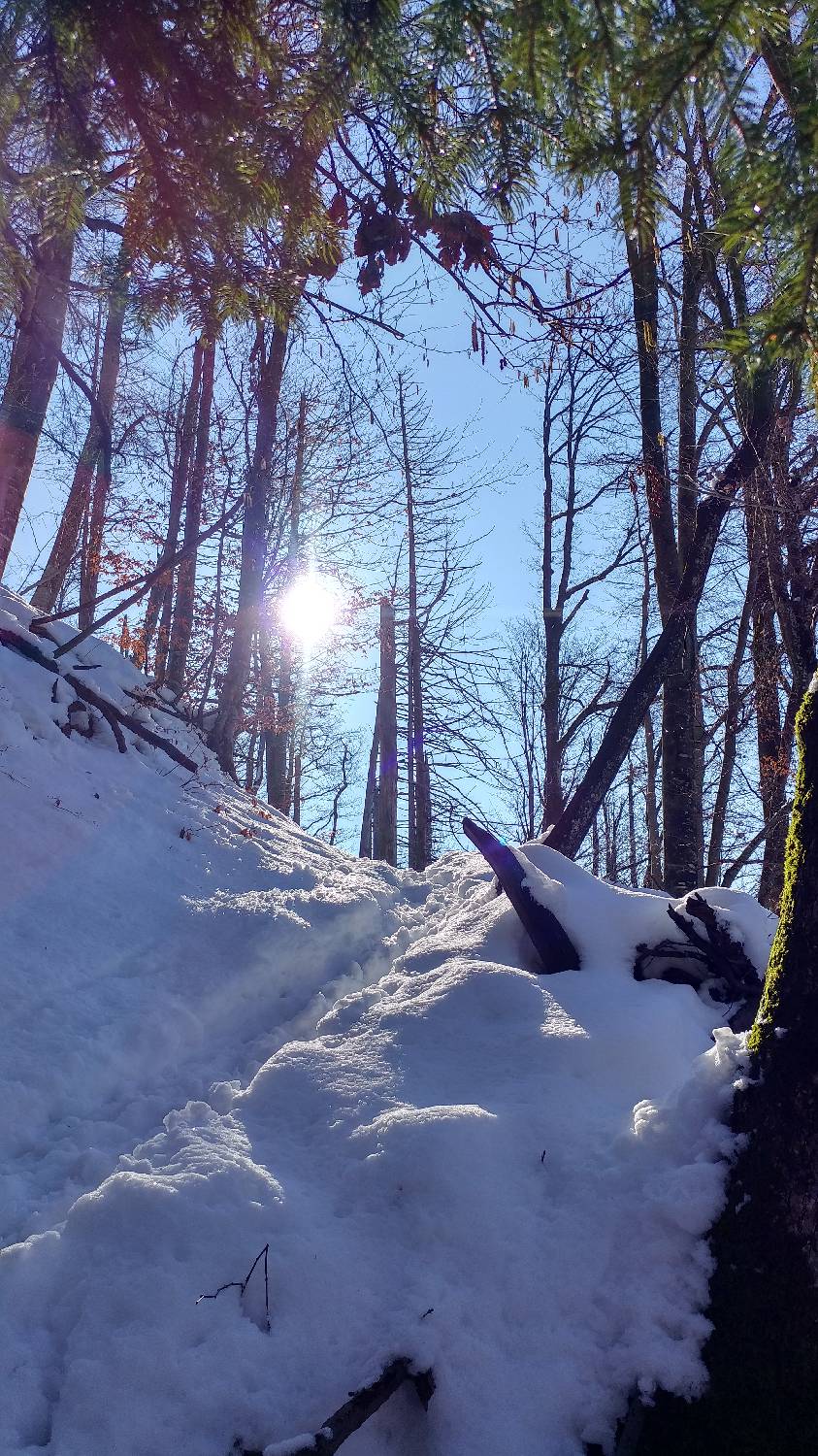 Parkirišče nad Žabčami - Meja slika 14