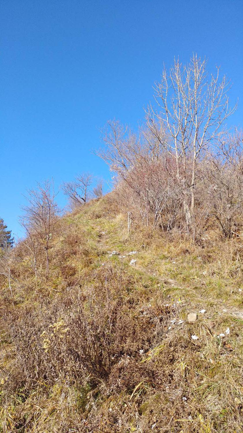 Dolje - Mrzli vrh slika 35