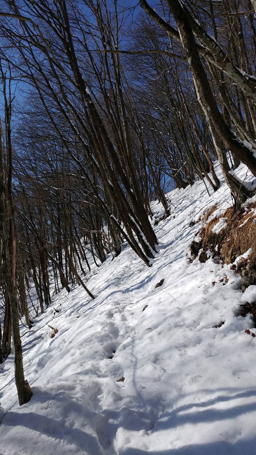 Parkirišče nad Žabčami - Meja slika 16