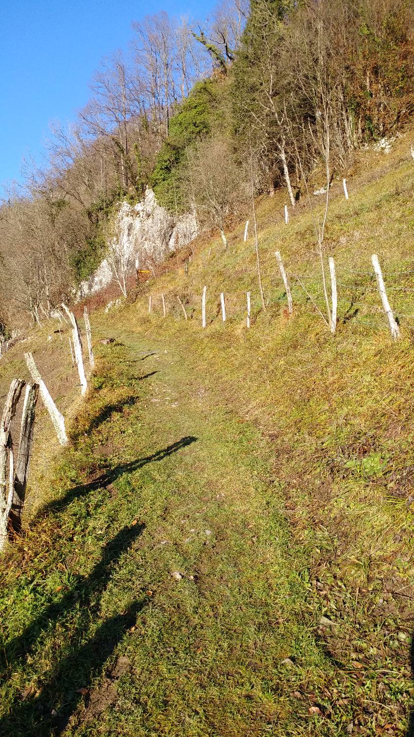 Okrepčevalnica Tolminska korita - Kobilnik slika 19