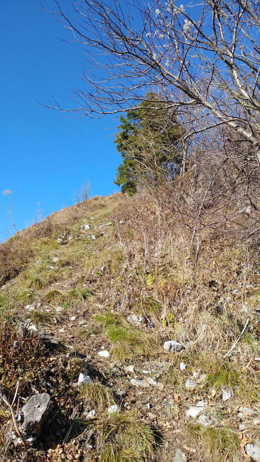 Dolje - Mrzli vrh slika 37