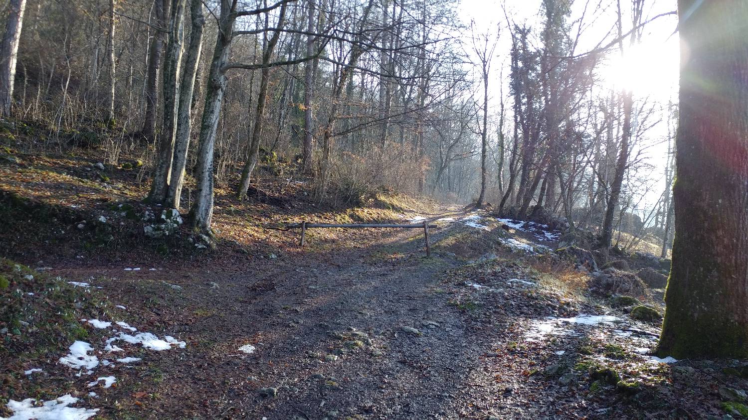 Parkirišče nad Žabčami - Meja slika 2