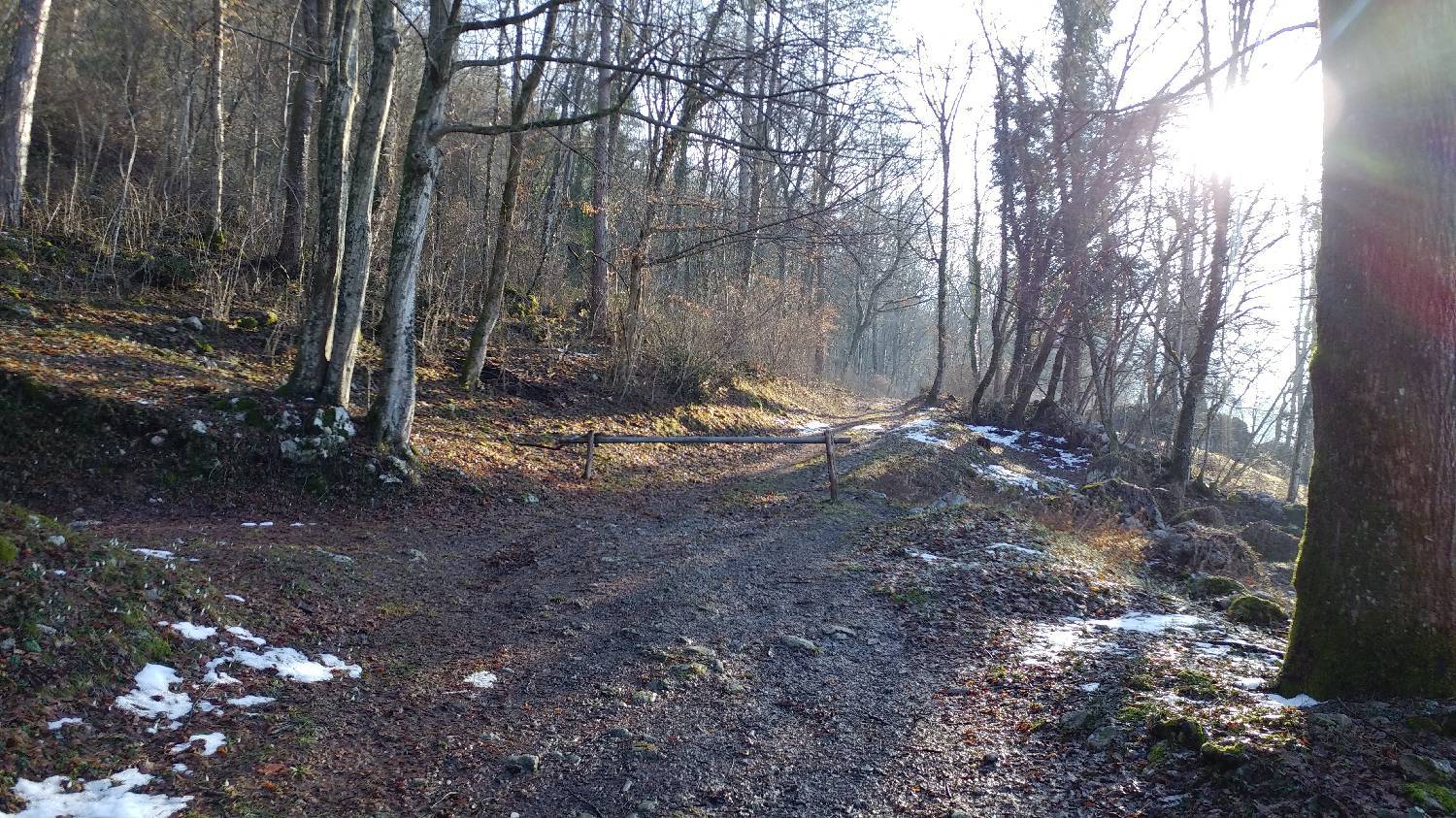 Parkirišče nad Žabčami - Planina Lom slika 2