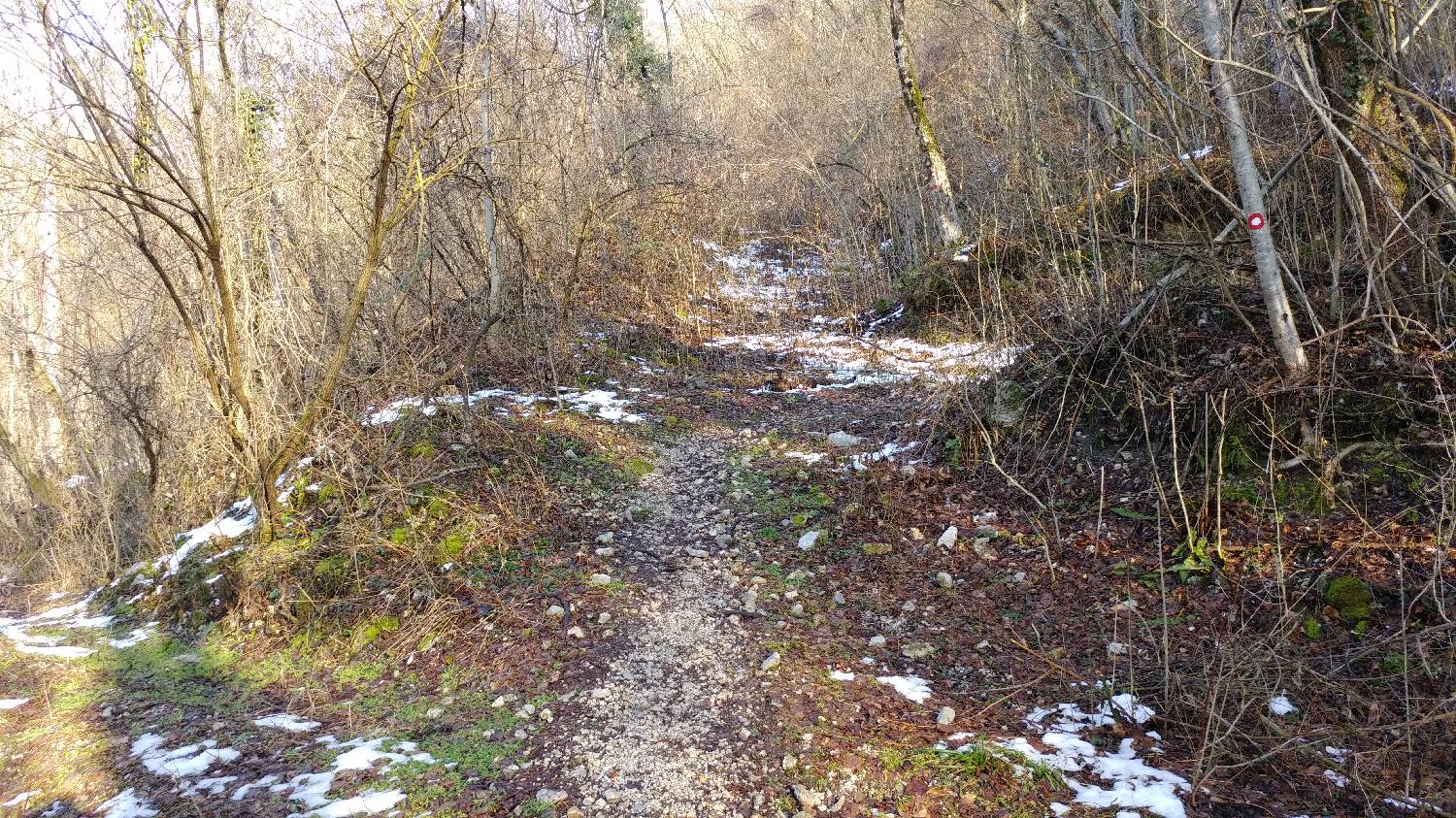 Parkirišče nad Žabčami - Meja slika 3