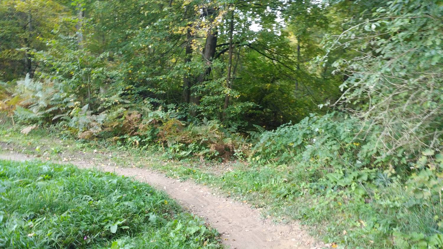 Ljubljana Podutik - Klobuk pri Ljubljani slika 3