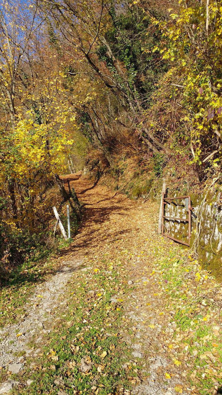 Dolje - Mrzli vrh slika 15