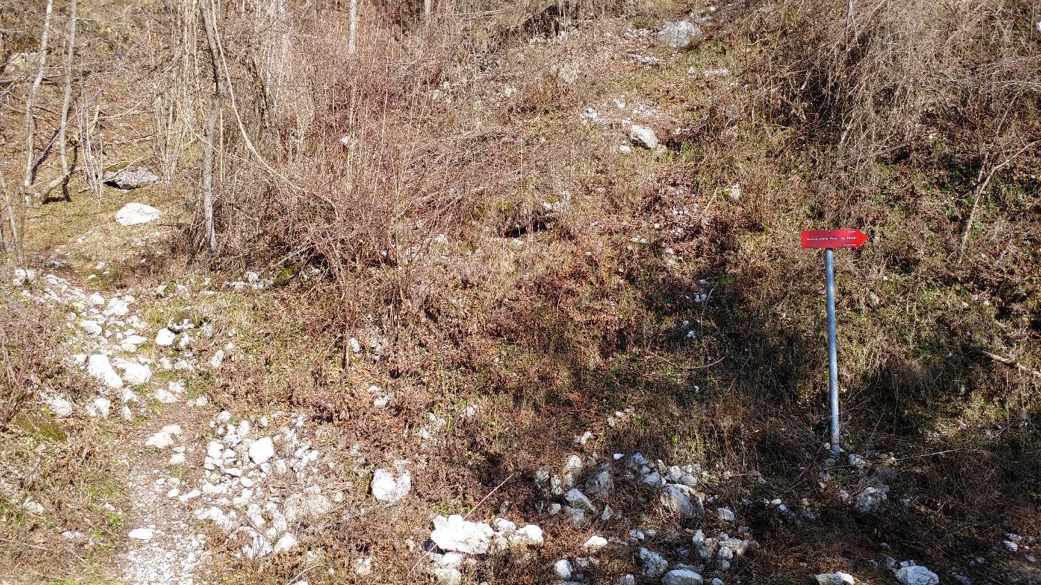 Parkirišče nad Žabčami - Vogel slika 5