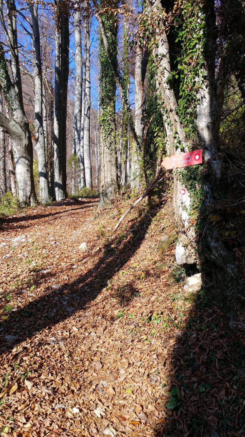Dolje - Mrzli vrh slika 16