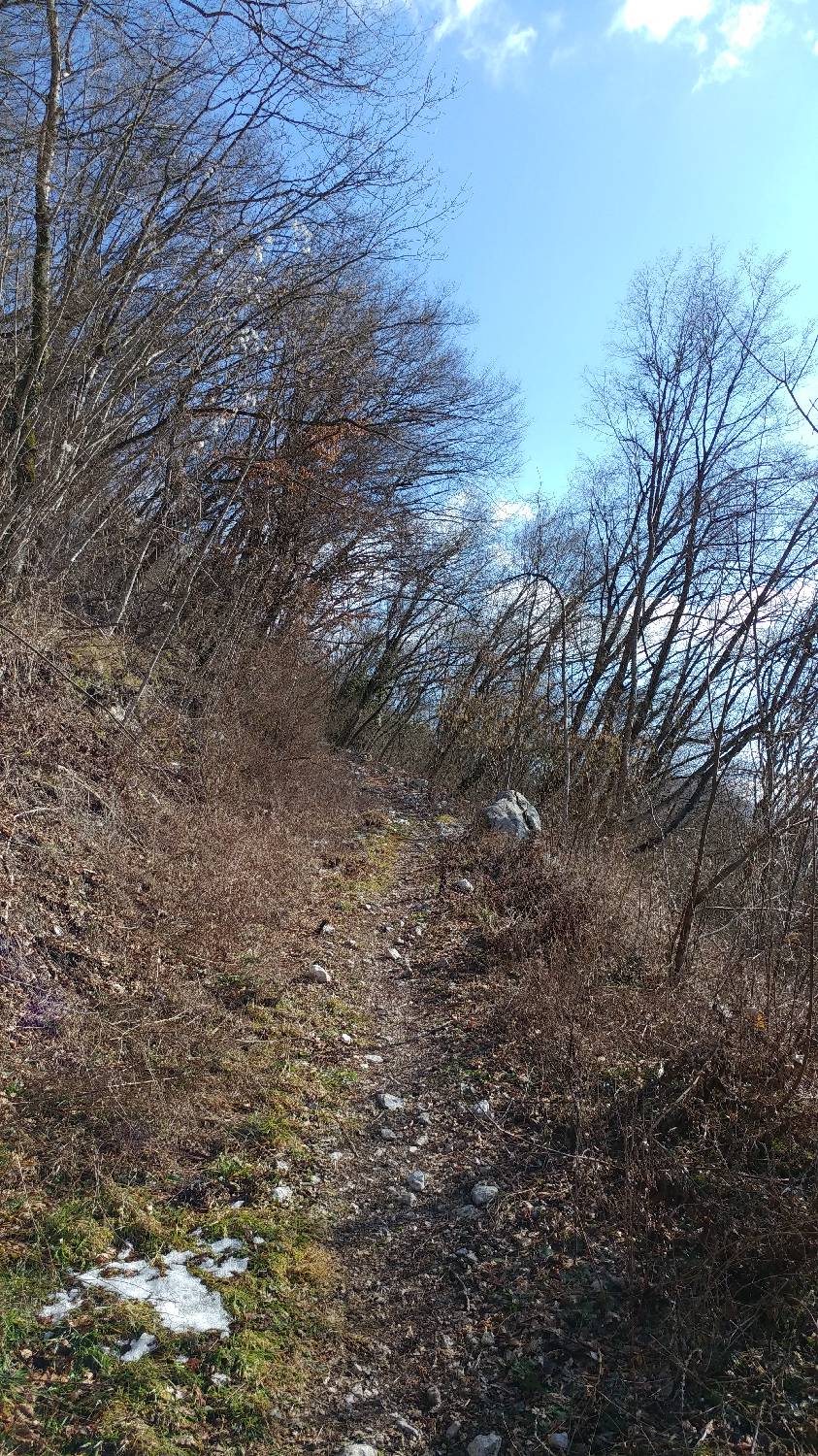 Parkirišče nad Žabčami - Meja slika 6