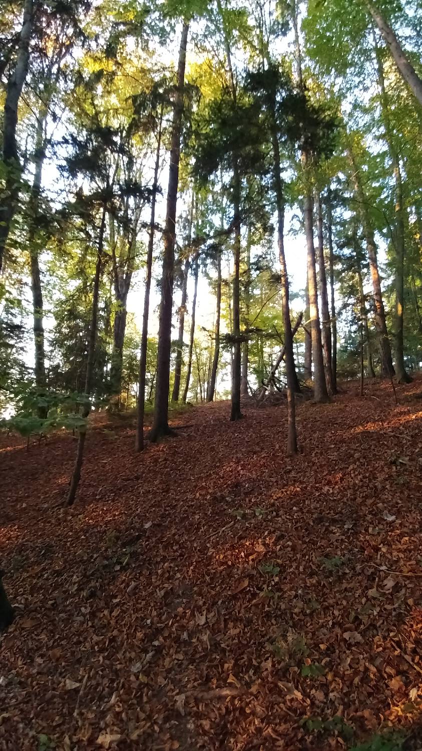 Bukovica pri Vodicah - Koseški hrib slika 9