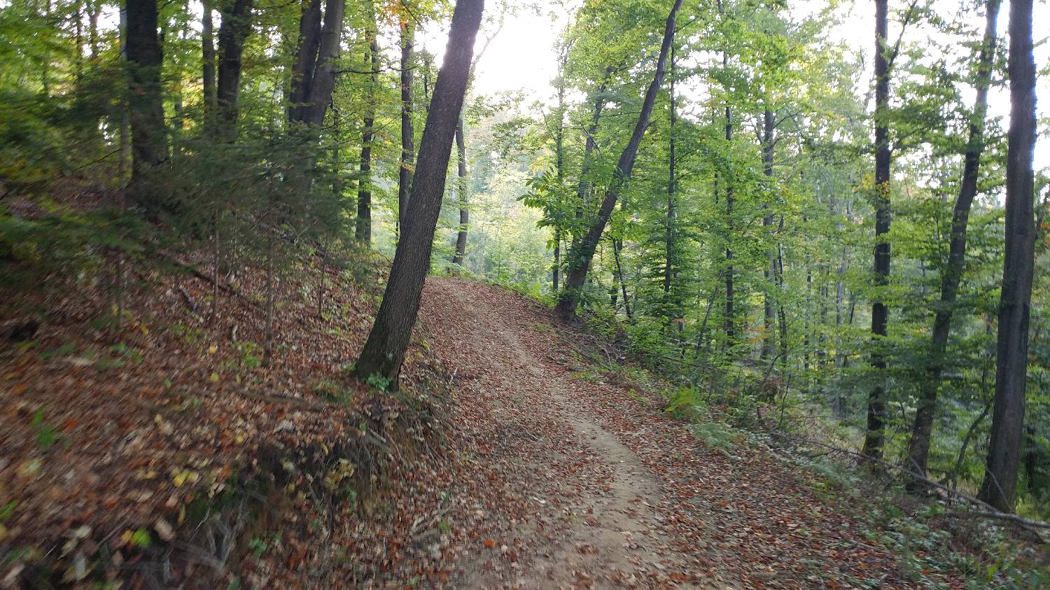 Ljubljana Podutik - Klobuk pri Ljubljani slika 6