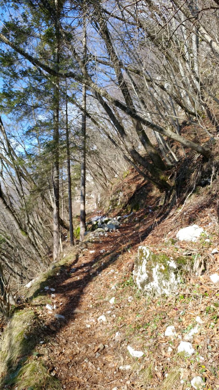 Parkirišče nad Žabčami - Vogel slika 6