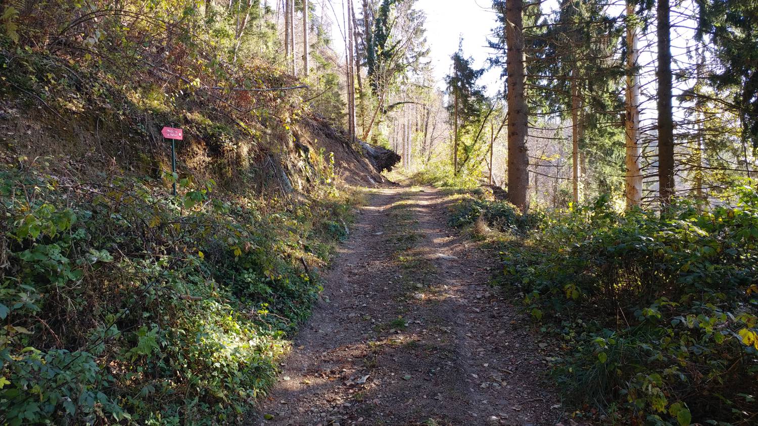 Dolje - Mrzli vrh slika 18