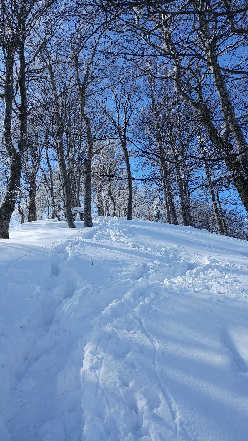 Gabrje - Mrzli vrh slika 26