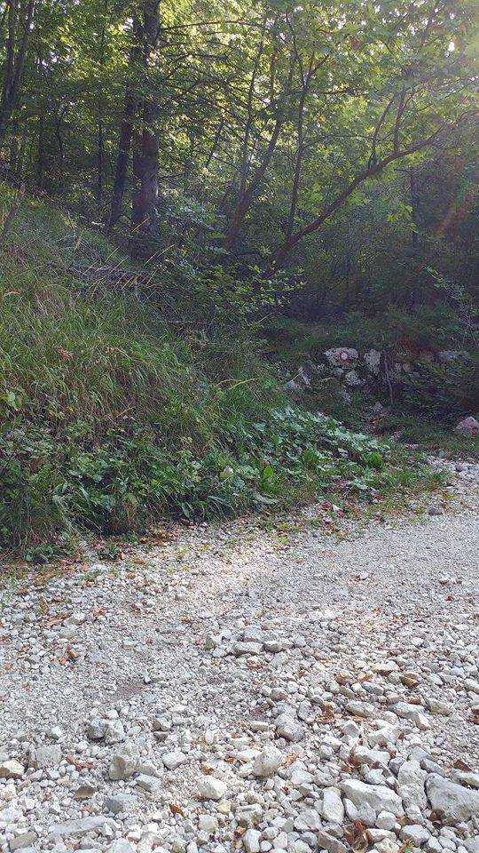 Breginj - Kobariški Stol slika 5