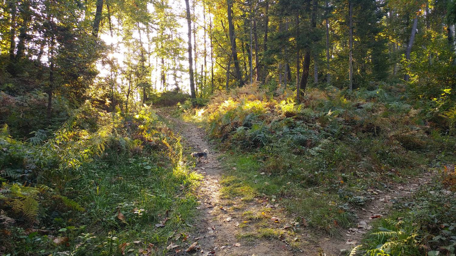 Ljubljana Podutik - Klobuk pri Ljubljani slika 7