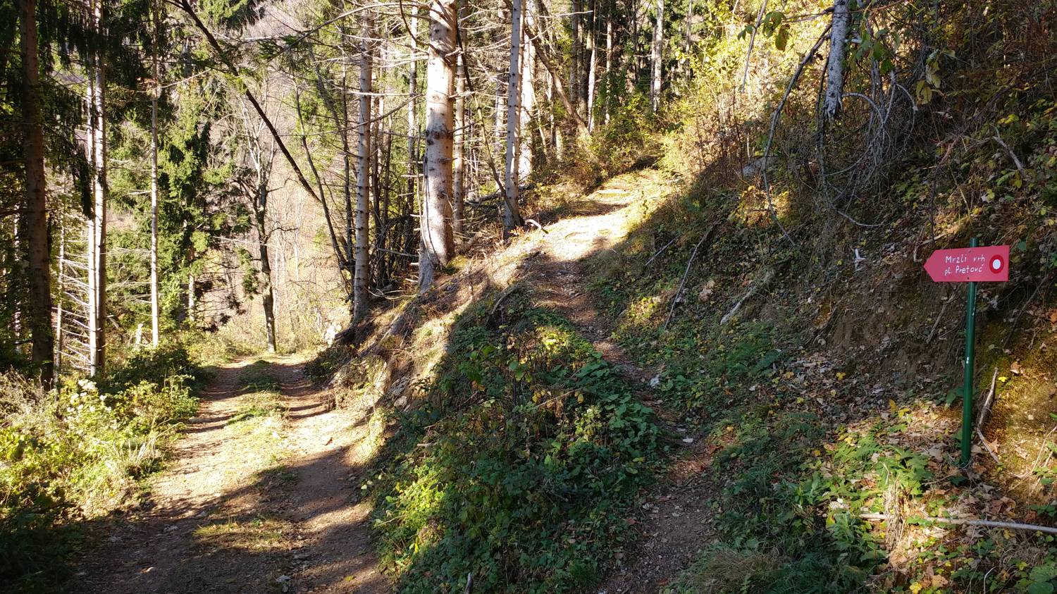 Dolje - Mrzli vrh slika 19