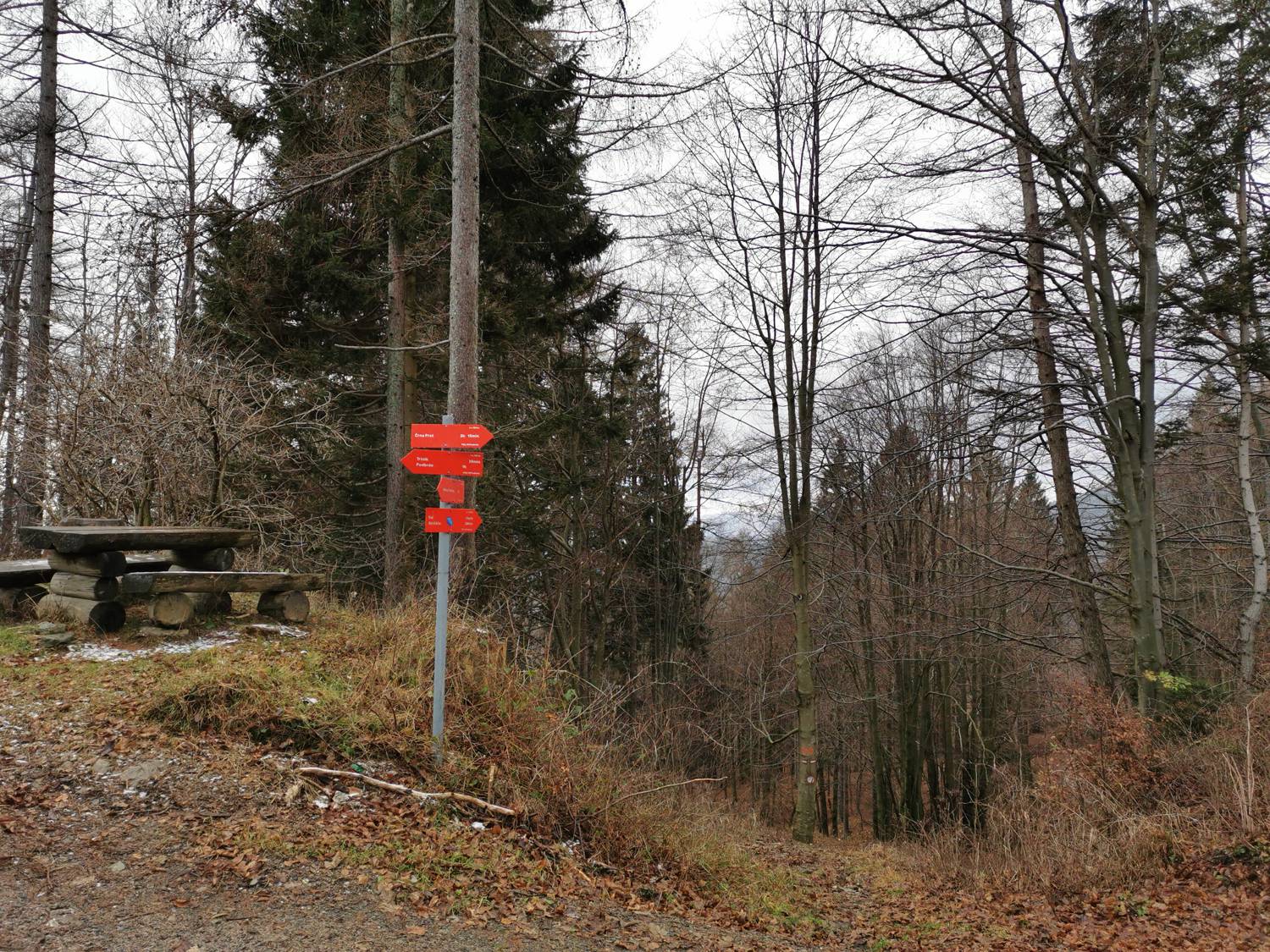 Podbrdo - Črna prst slika 24