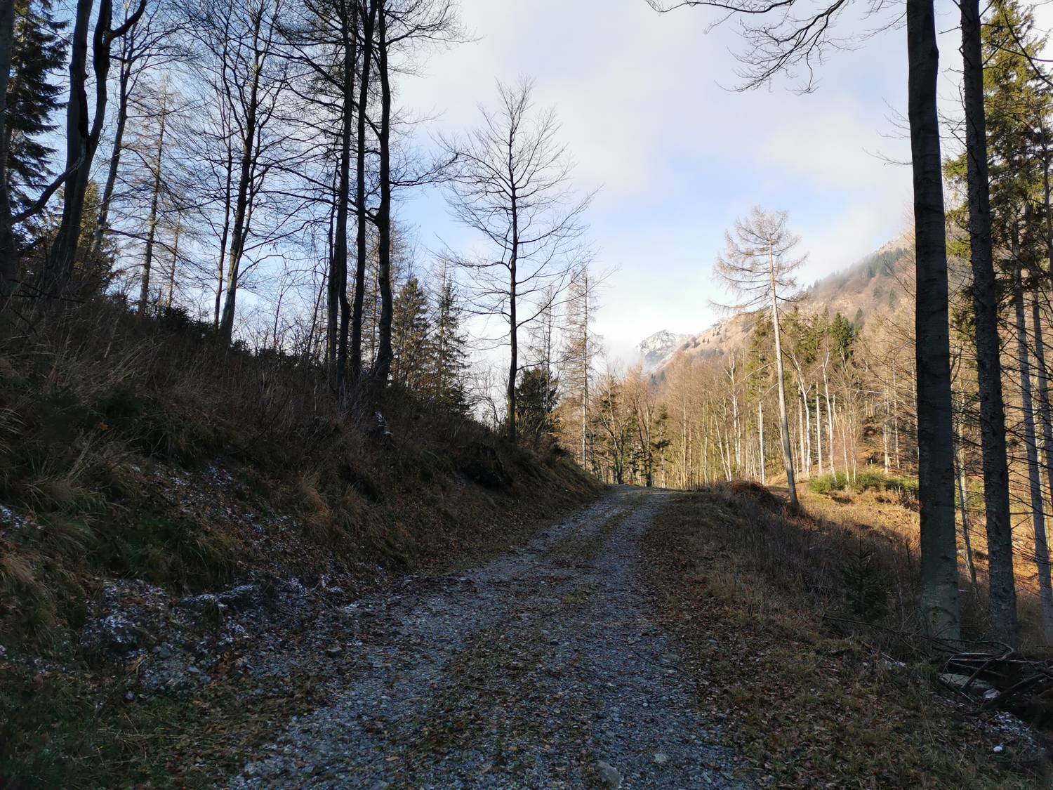 Podbrdo - Črna prst slika 23