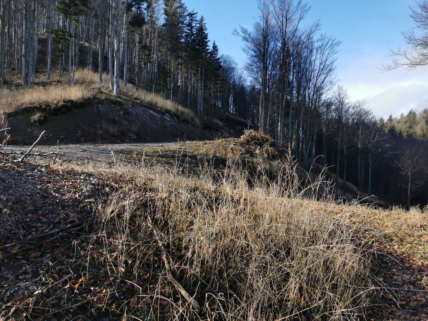 Podbrdo - Črna prst slika 21