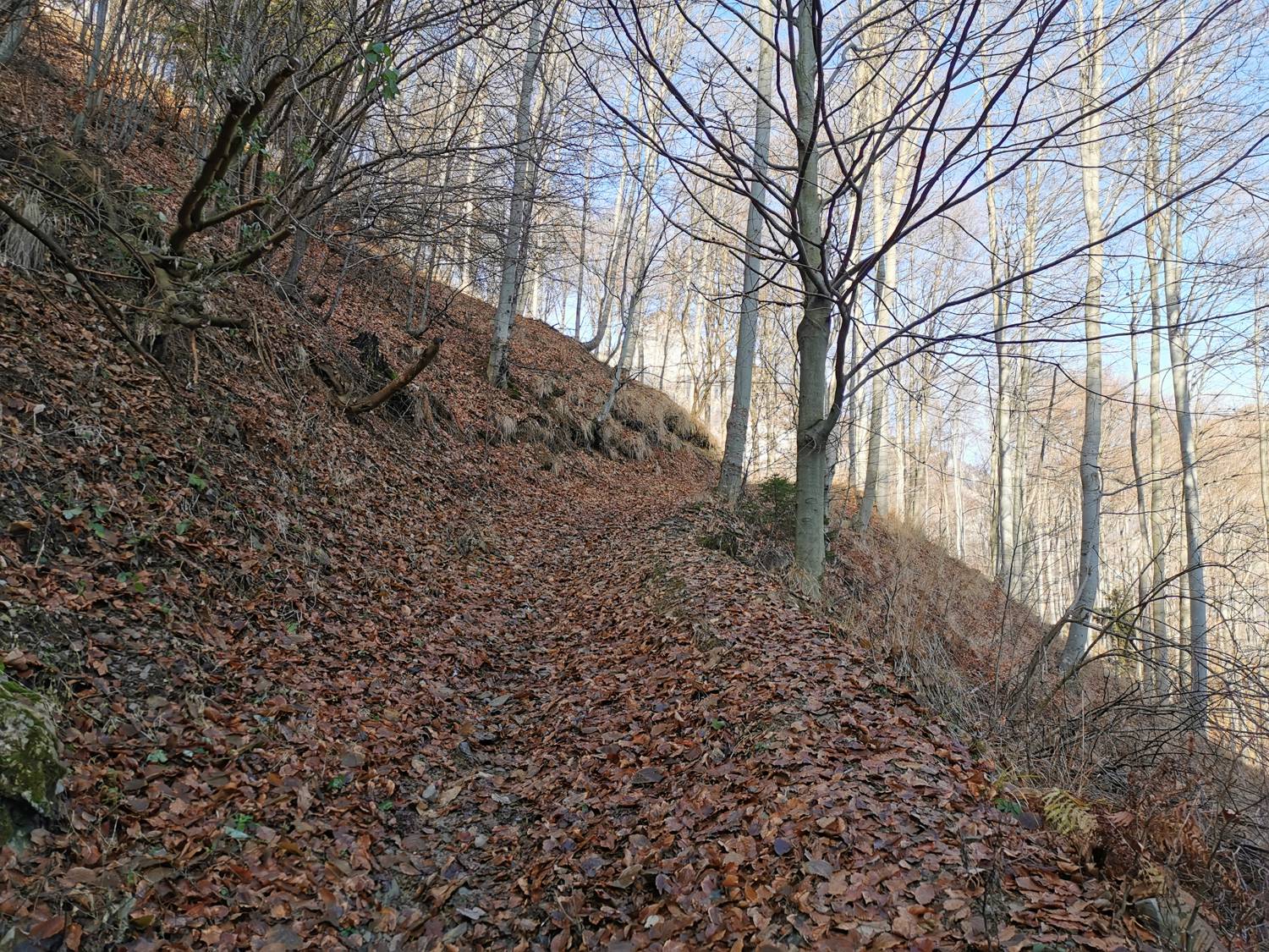 Podbrdo - Črna prst slika 20