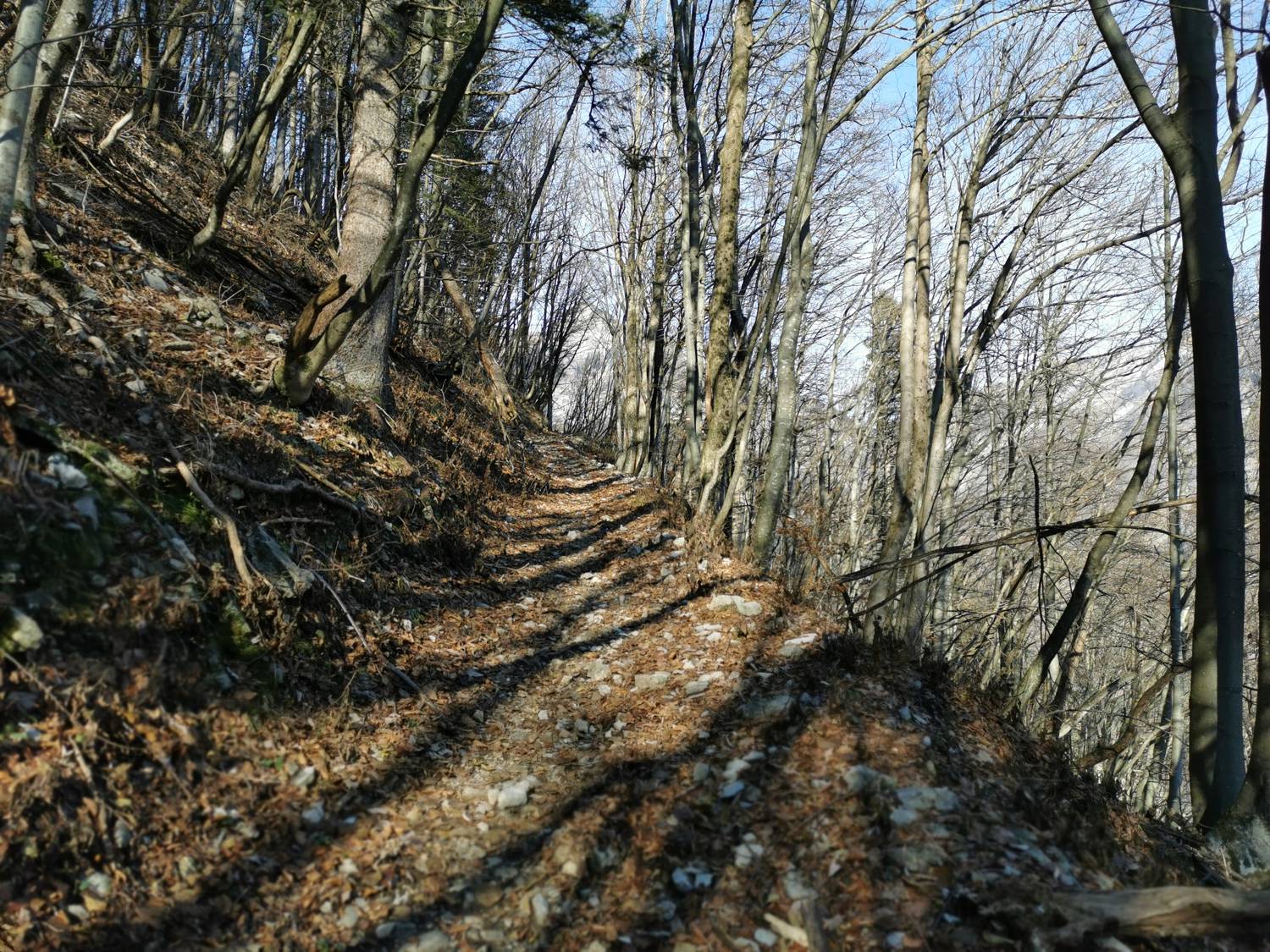 Podbrdo - Črna prst slika 15