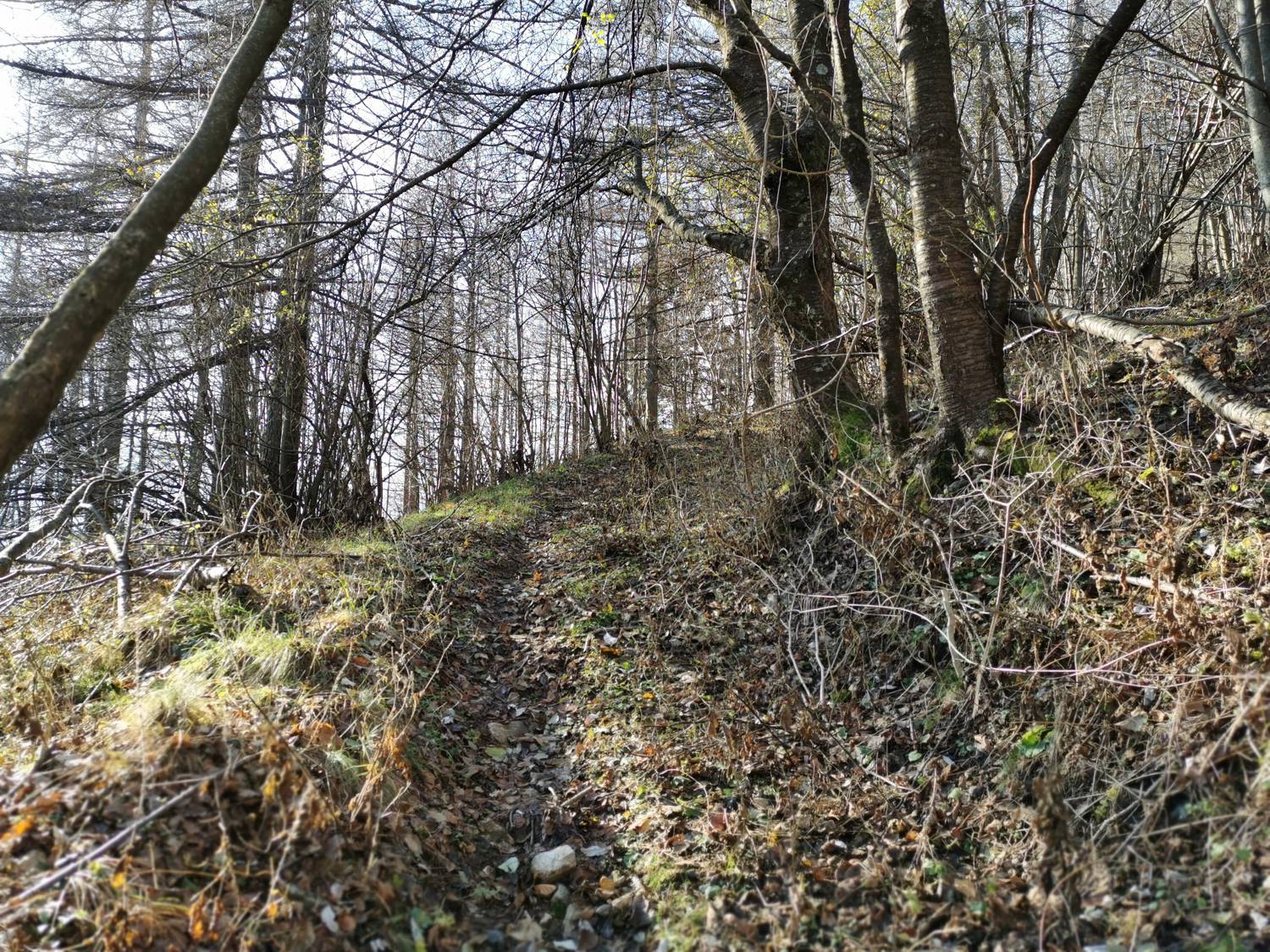 Podbrdo - Črna prst slika 14