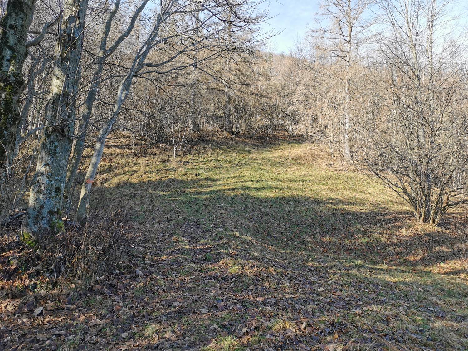 Podbrdo - Črna prst slika 13