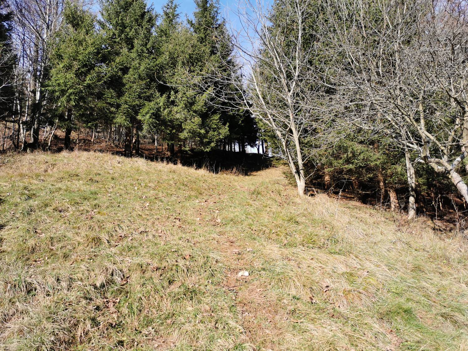 Podbrdo - Črna prst slika 11