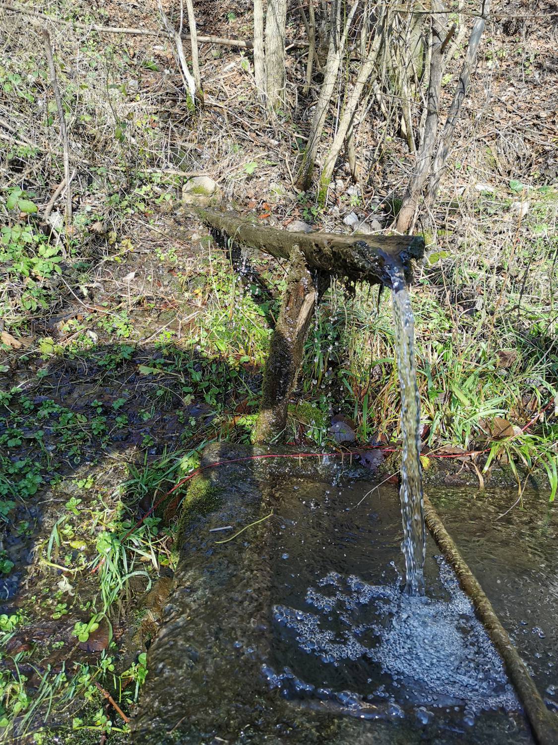 Podbrdo - Črna prst slika 5