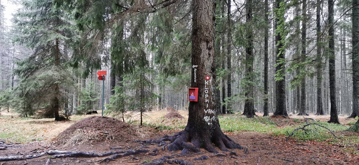 Koča na Pesku - Klopni vrh - main photo