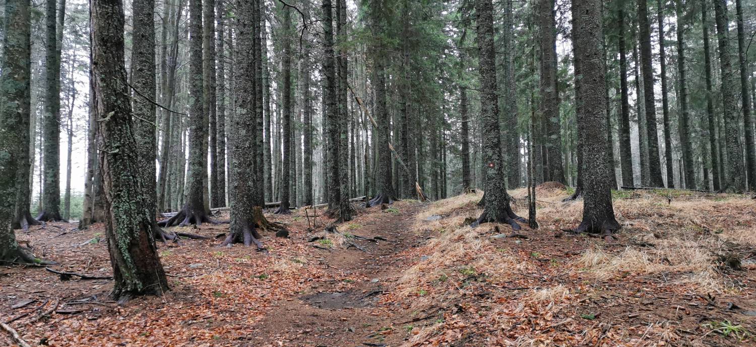 Koča na Pesku - Klopni vrh slika 27