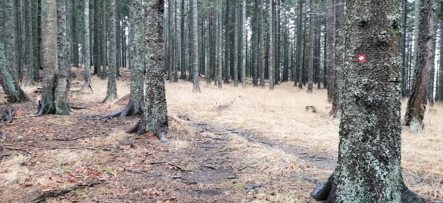 Koča na Pesku - Klopni vrh slika 26