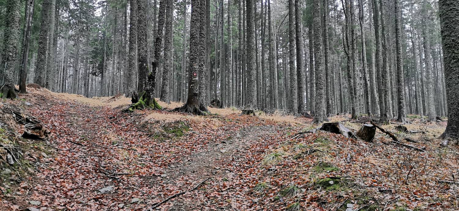 Koča na Pesku - Klopni vrh slika 24