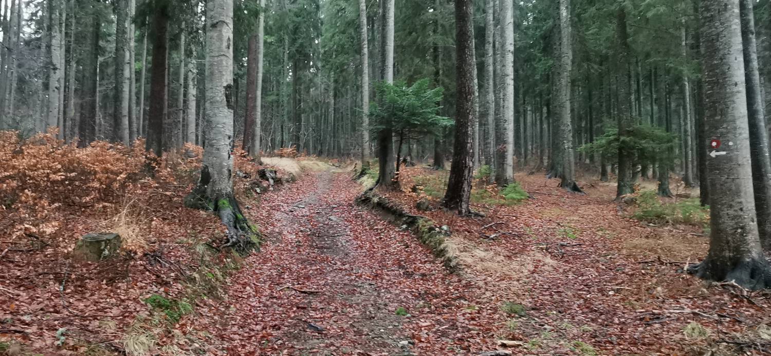 Koča na Pesku - Klopni vrh slika 23