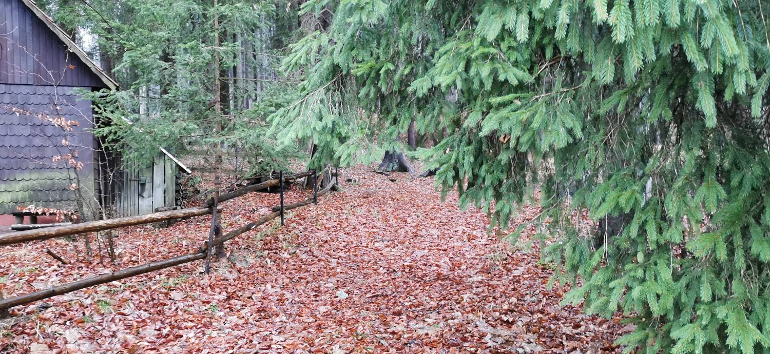 Koča na Pesku - Klopni vrh slika 22
