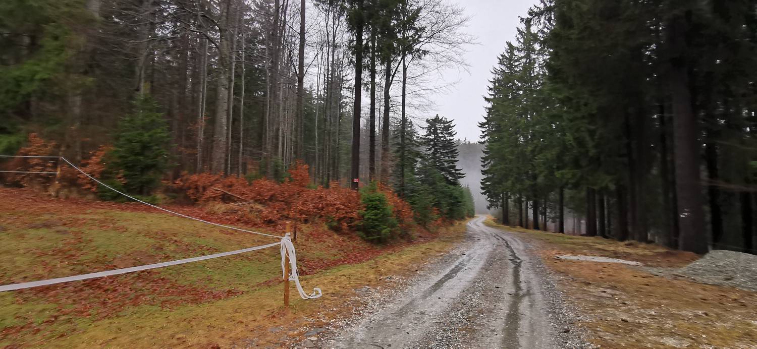 Koča na Pesku - Klopni vrh slika 20
