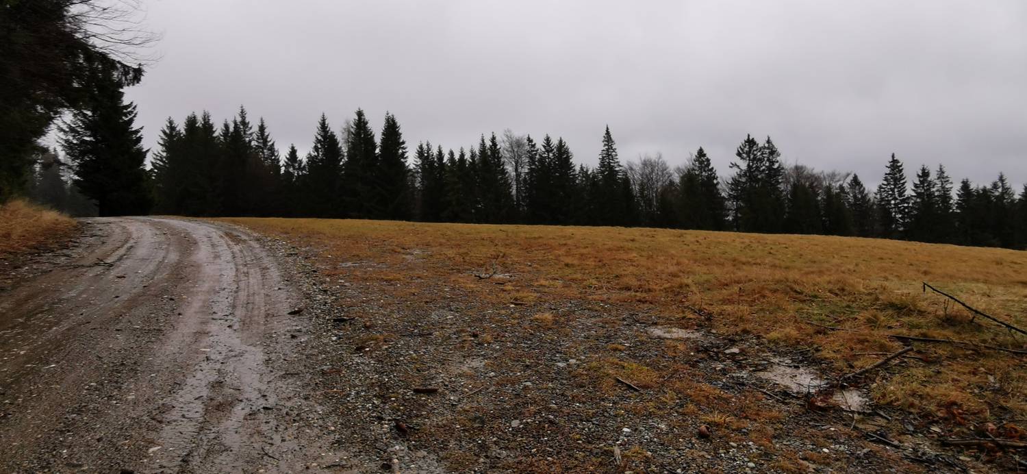 Koča na Pesku - Klopni vrh slika 17
