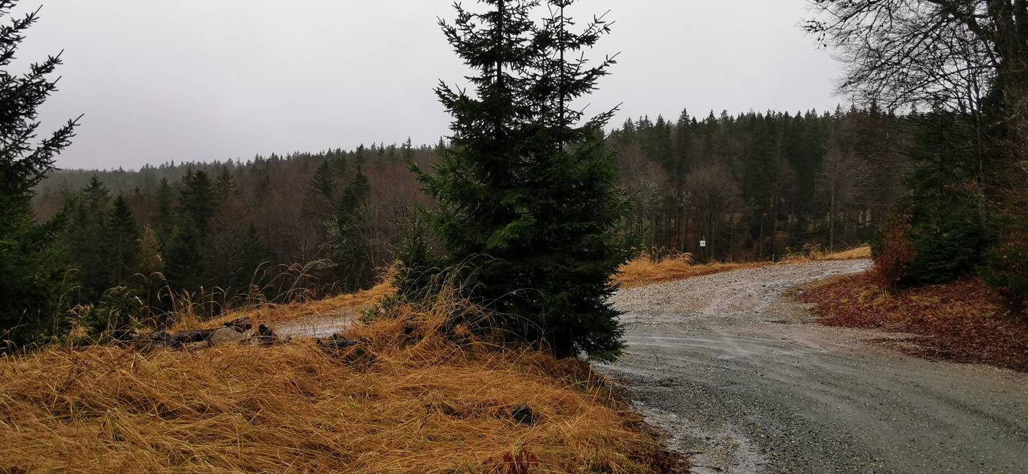 Koča na Pesku - Klopni vrh slika 16