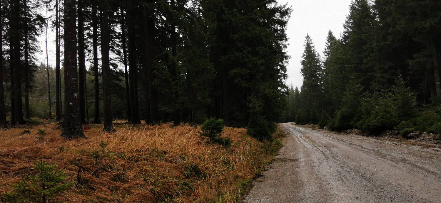 Koča na Pesku - Klopni vrh slika 15