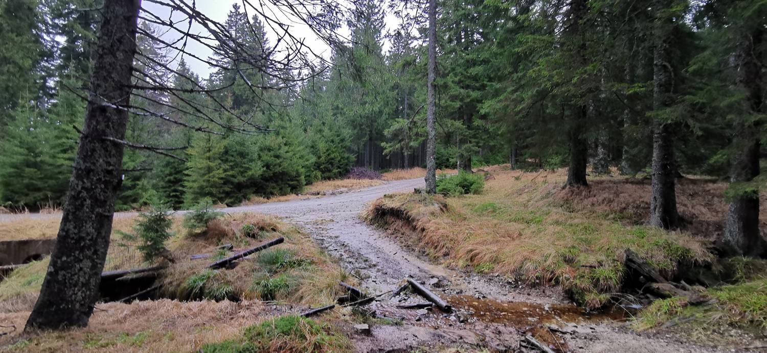 Koča na Pesku - Koča na Klopnem vrhu slika 12