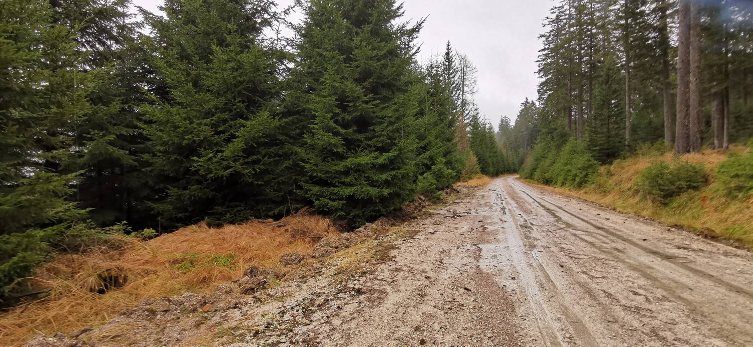 Koča na Pesku - Klopni vrh slika 14