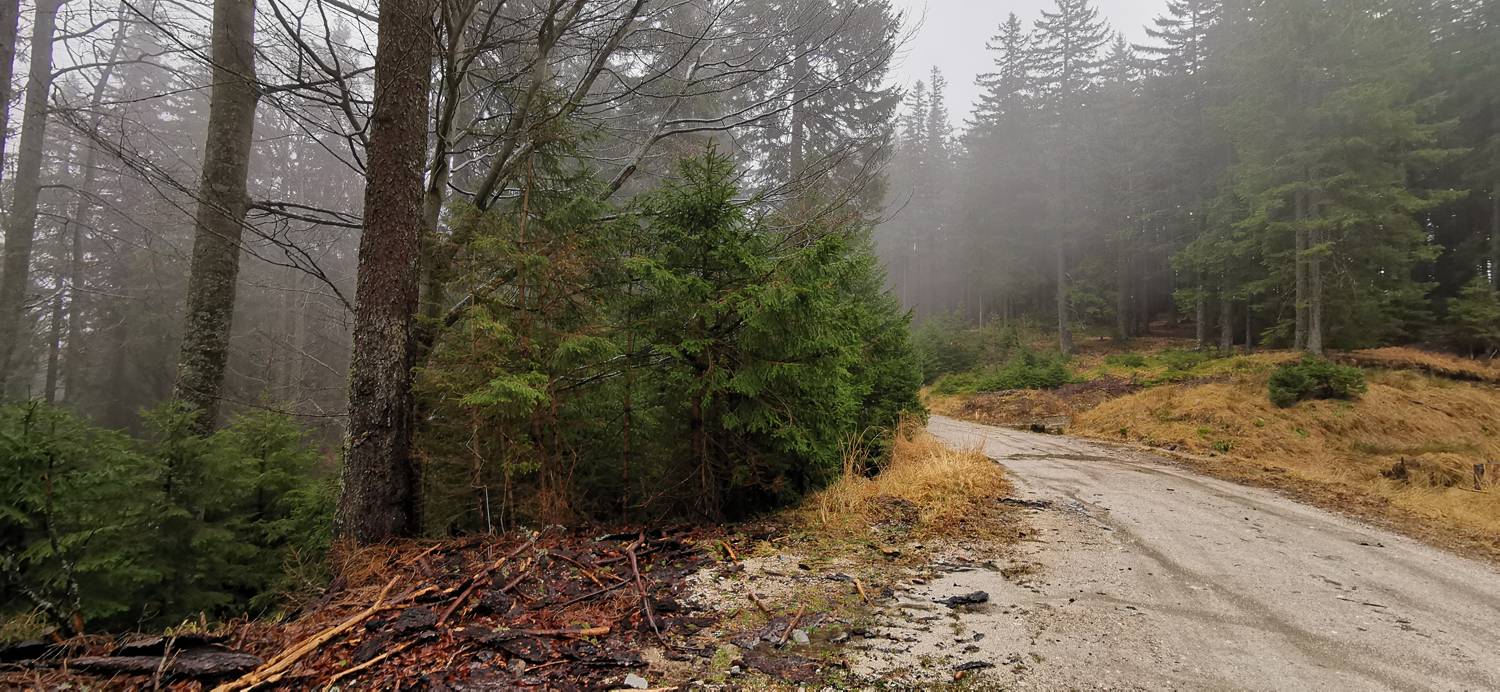 Koča na Pesku - Klopni vrh slika 12