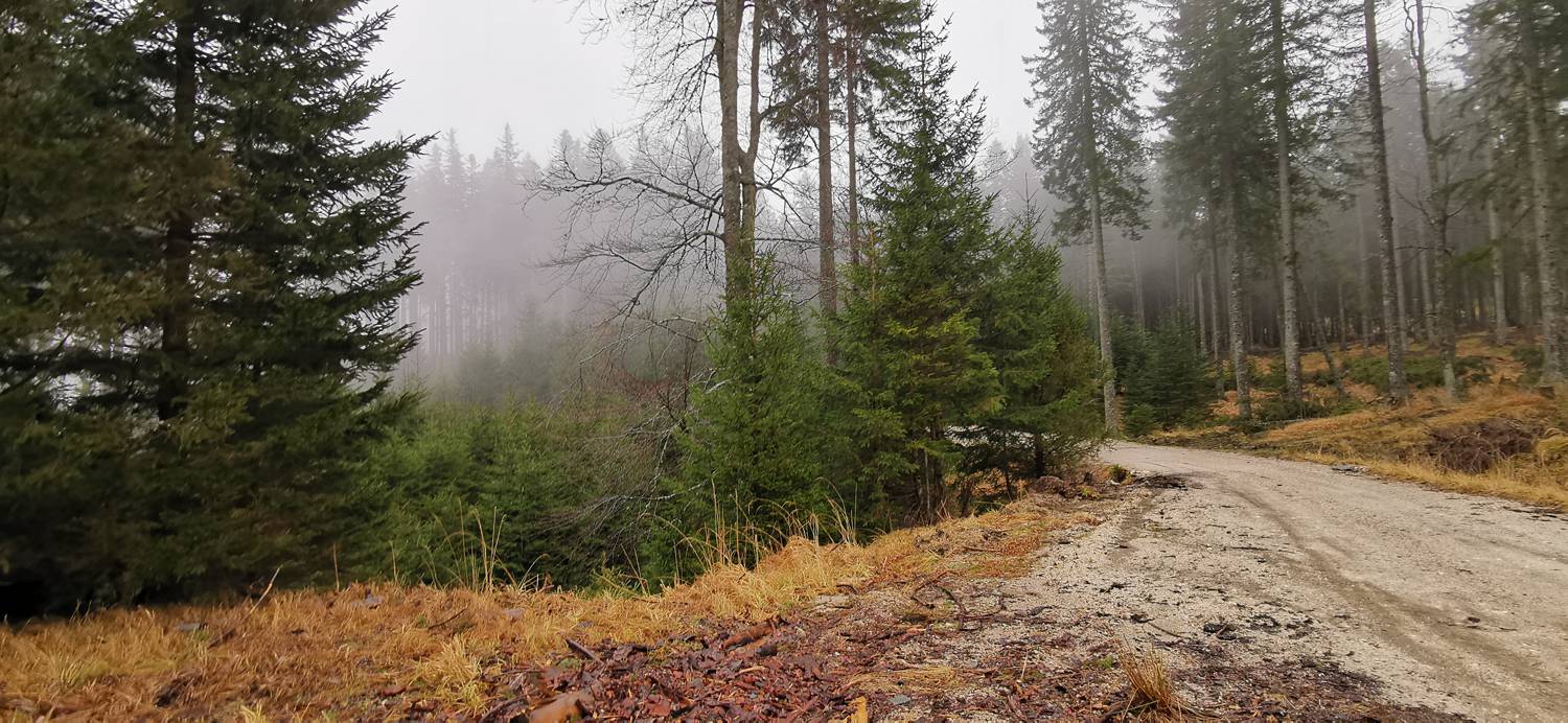 Koča na Pesku - Klopni vrh slika 11