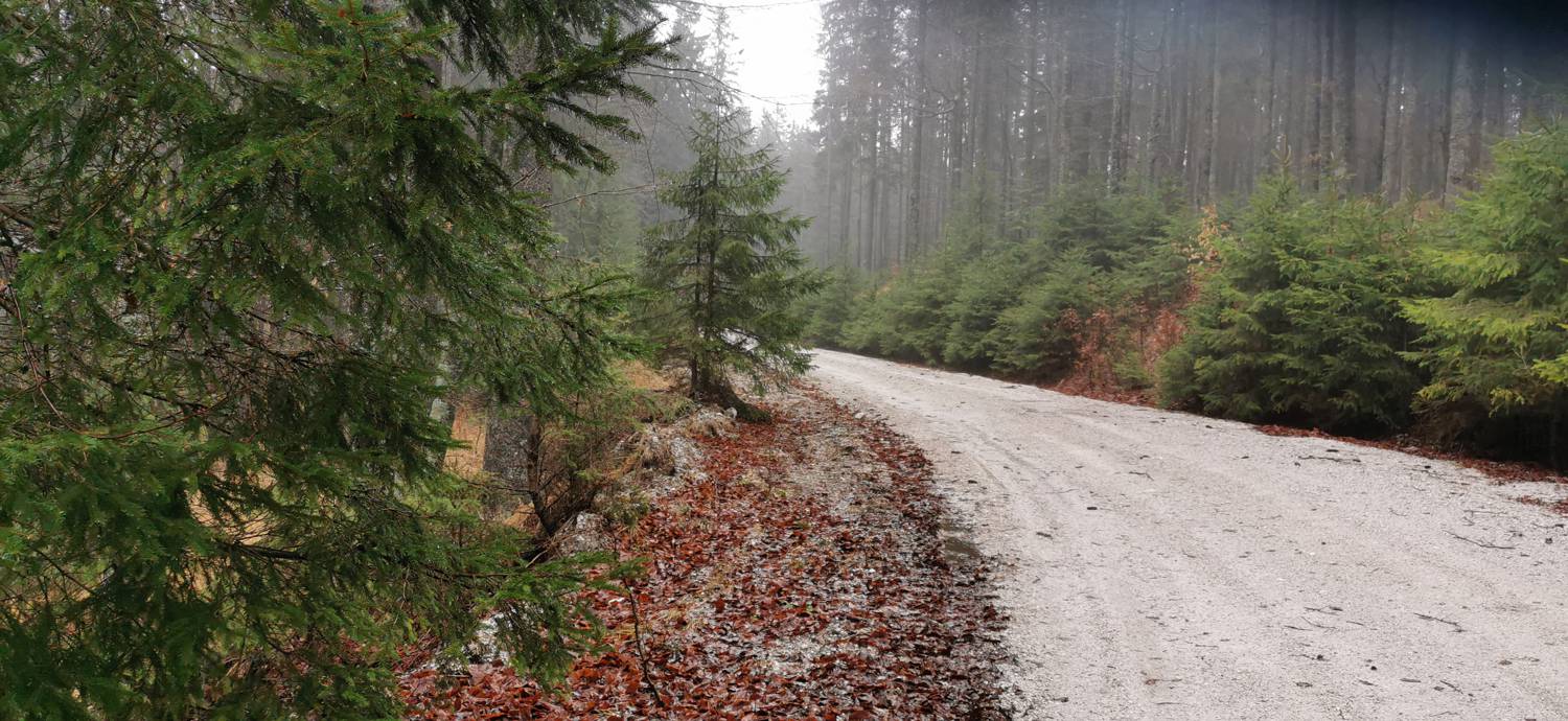 Koča na Pesku - Klopni vrh slika 9